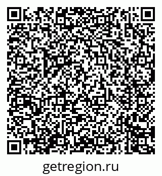 79635003354