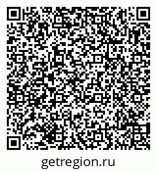 79635100381