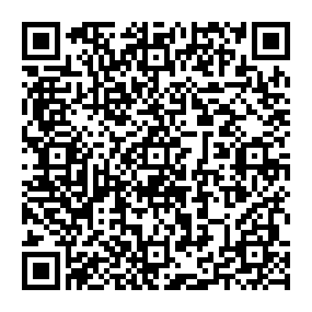 79635501333