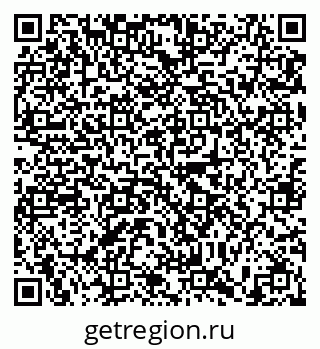 79635504004
