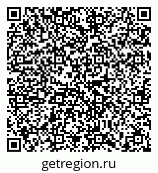 79635504018