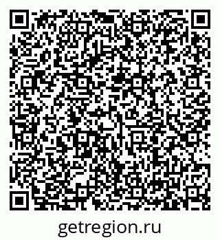 79635504428