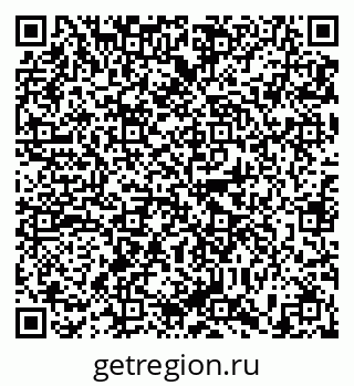 79635511981