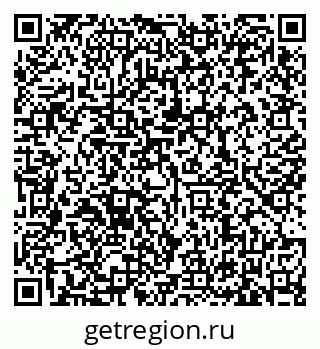 79635520028