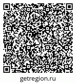 79635520065