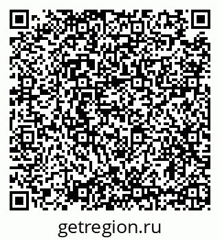 79635520241