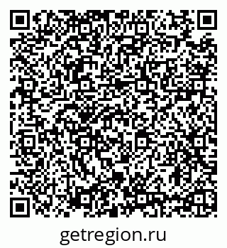 79635520291
