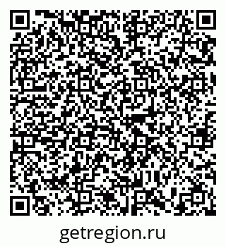 79635520294