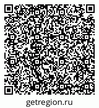 79635520381