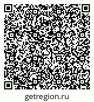 79635522028