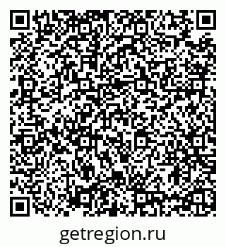 79635528354
