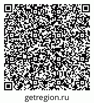 79635548558