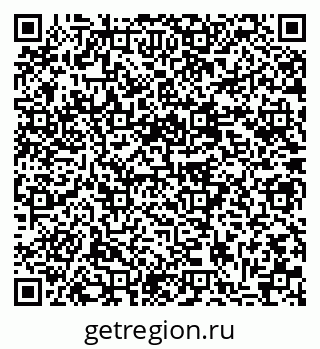 79635821338