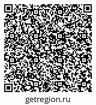 79635965566
