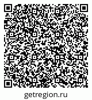 79636001381