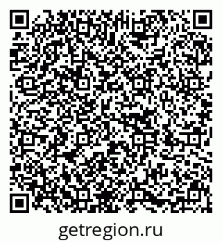 79636004449