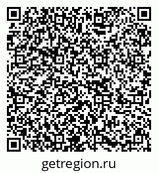 79636005564