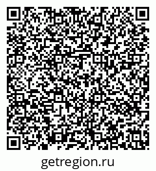 79636021981