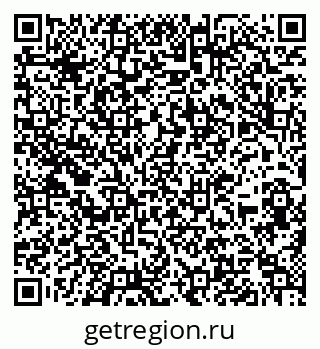 79636987981
