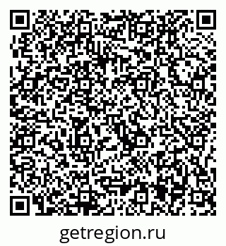 79637005538