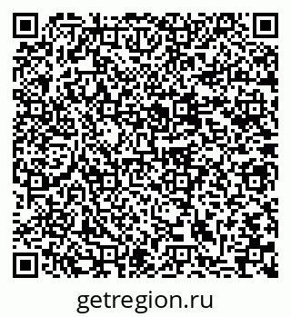 79637067528