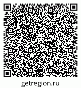 79637125354