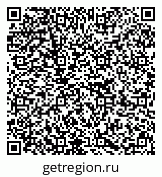 79637215981