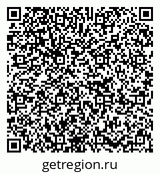 79637291538