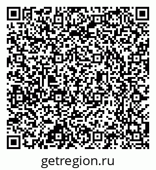 79637304981