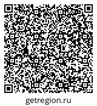 79637305538