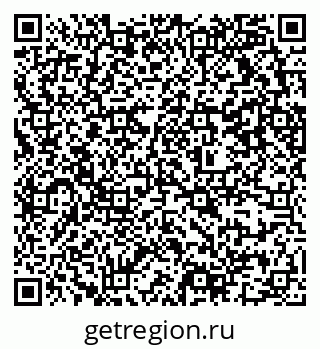 79637311981