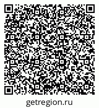 79637335528