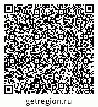 79637335538