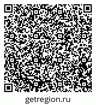 79637335828