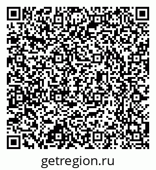 79637355981
