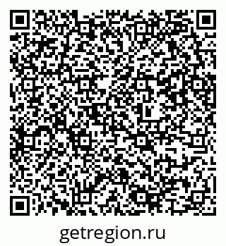 79637365981