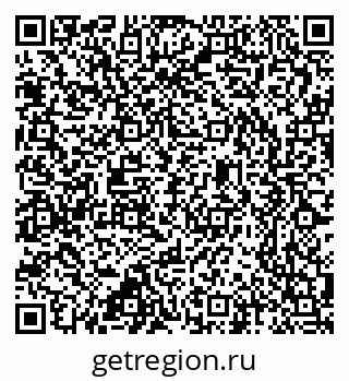 79637366558
