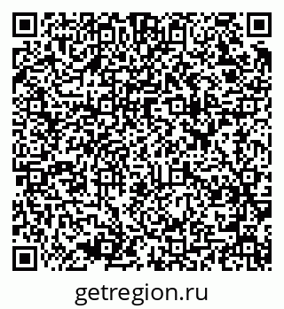 79637913385