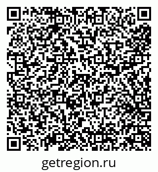 79638004911