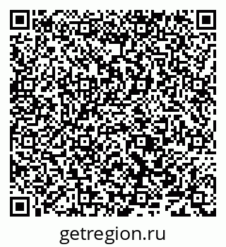 79638004919
