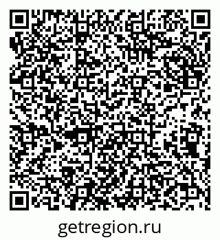 79638005575