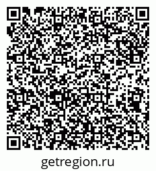 79638175558