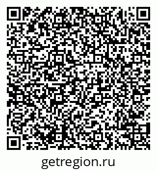 79638200558
