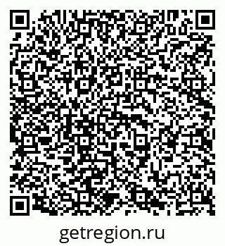 79638202981