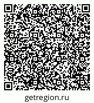 79638205558