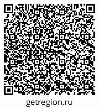 79638288804