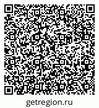 79638300338