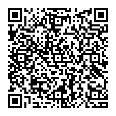 79638400538