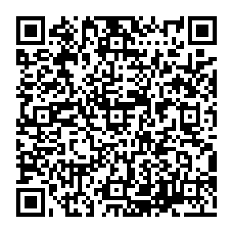 79638400544