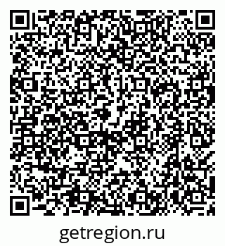 79638500559